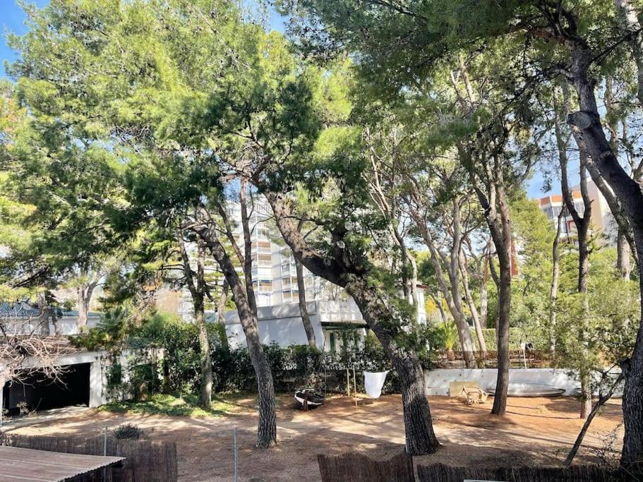 Lc Apartaments Voramar Benicassim Exterior photo